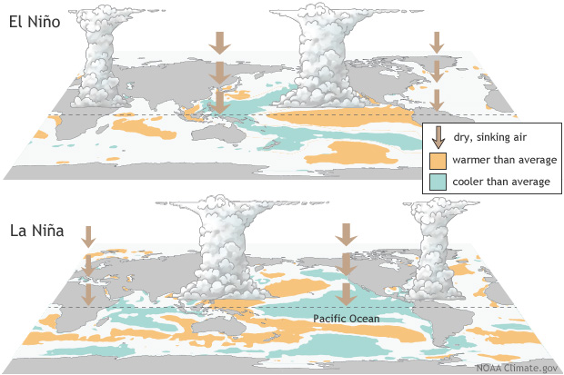 What is La Nina, expected to set in later this year, and how it could impact global weather